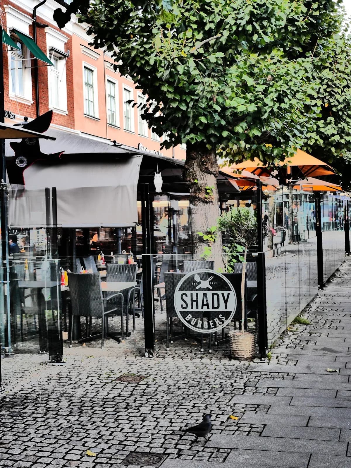 Shady Burgers