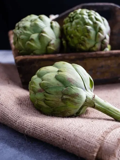 APLATE Nordic